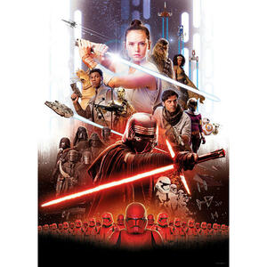 Komar Wandbild Star Wars Movie Poster Rey Star Wars B/L: ca. 50x70 cm