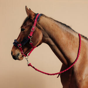 Halfter + Führstrick Pferd/Pony - Comfort rosa/blauschwarz Blau|rot