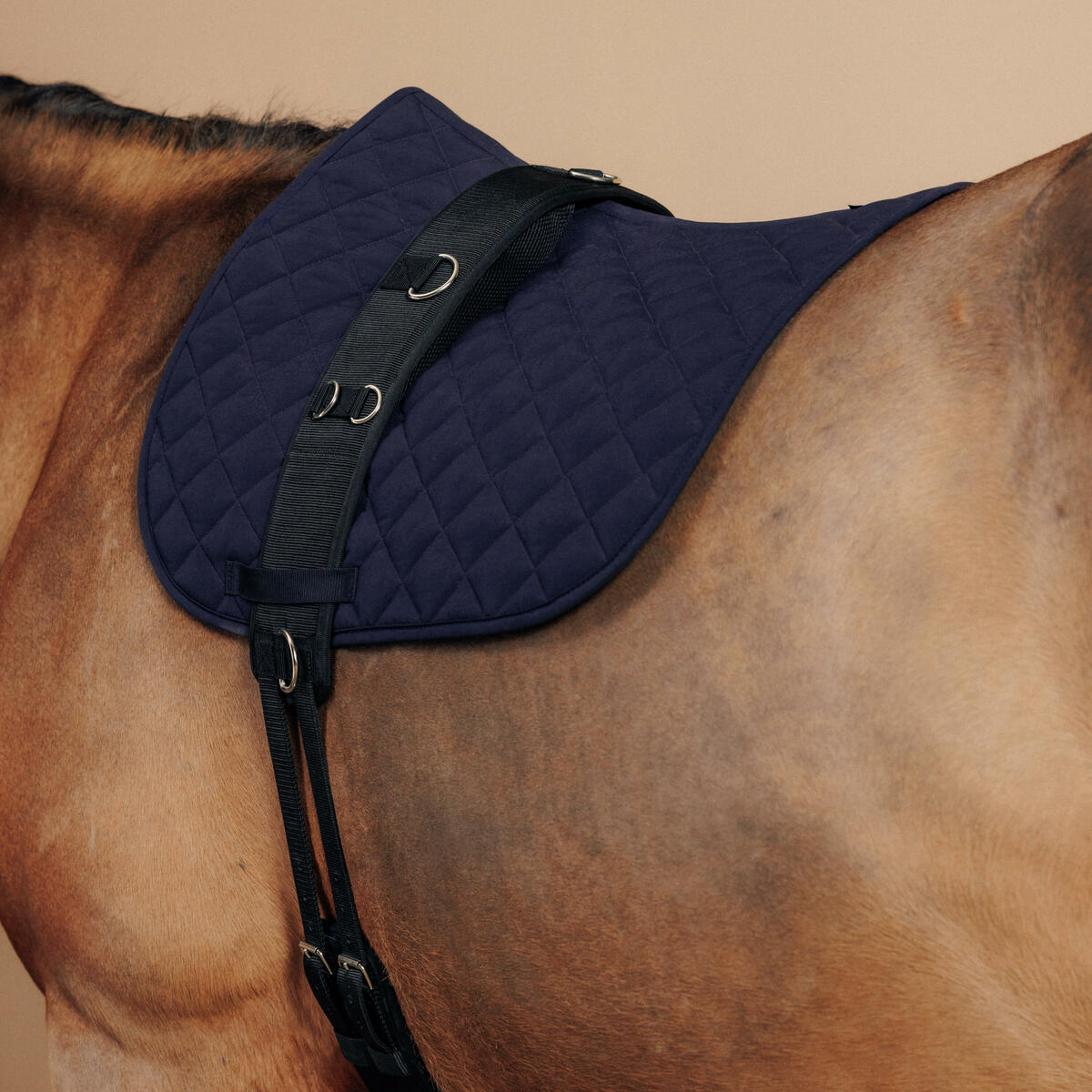 Bild 1 von Longiergurt Pferd/Pony schwarz Schwarz