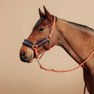 Halfter + Führstrick Pferd/Pony - Comfort orange/blauschwarz Blau|orange
