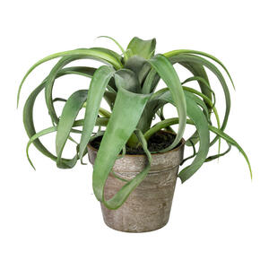 Kunstpflanze, Grün, Kunststoff, 24 cm, inkl. Topf, Dekoration, Kunstblumen