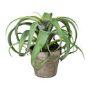 Bild 1 von Kunstpflanze, Grün, Kunststoff, 24 cm, inkl. Topf, Dekoration, Kunstblumen