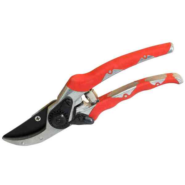 Bild 2 von SIENA GARDEN Gartenschere Schneideflink Länge: 21 cm