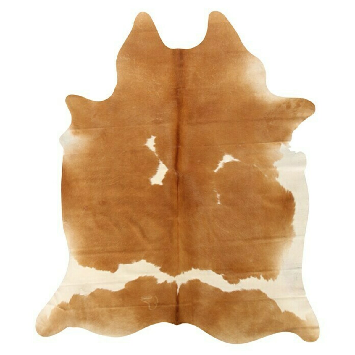 Bild 1 von Echtfell Rind