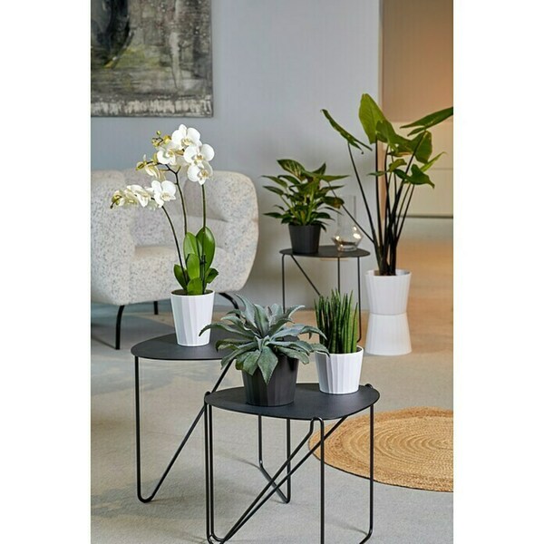 Bild 2 von Soendgen Keramik Übertopf rund Umea Pure