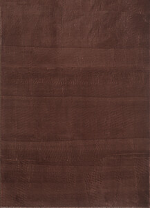 Ayyildiz Teppich, CATWALK 2600, BROWN, 140 x 200 cm