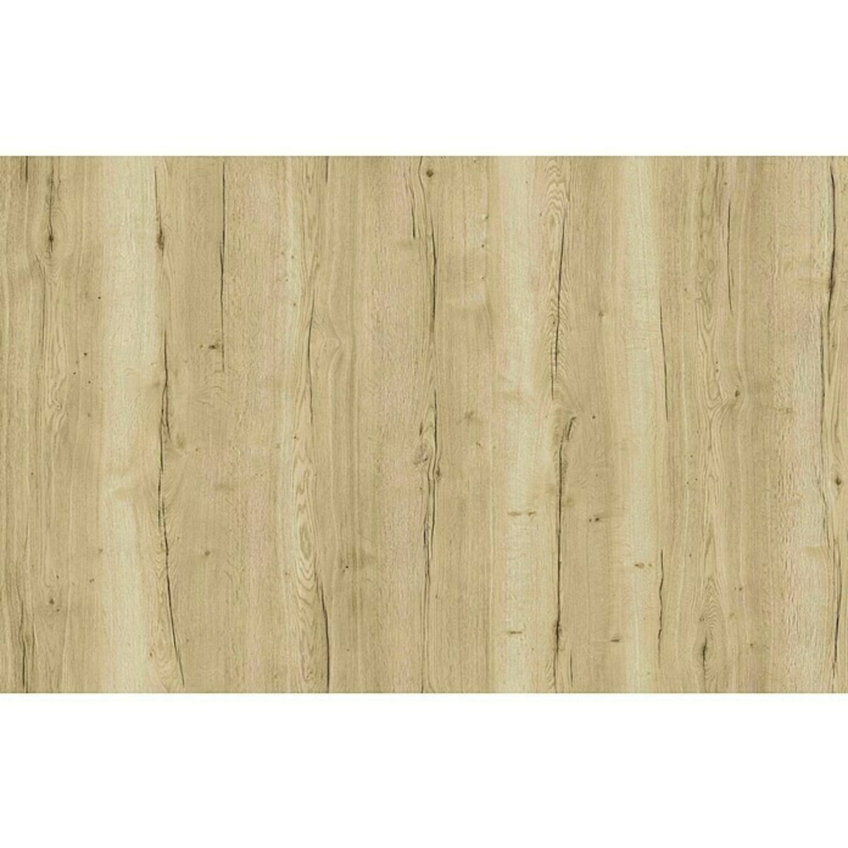 Bild 3 von Classen PL Zimmertür