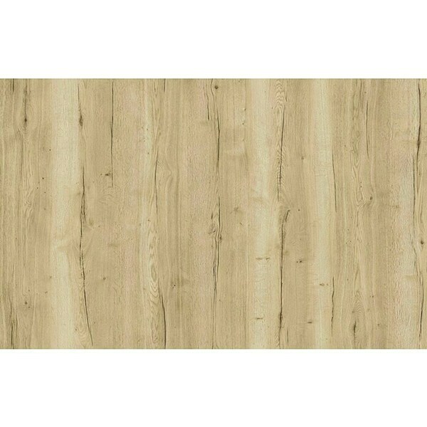 Bild 3 von Classen PL Zimmertür