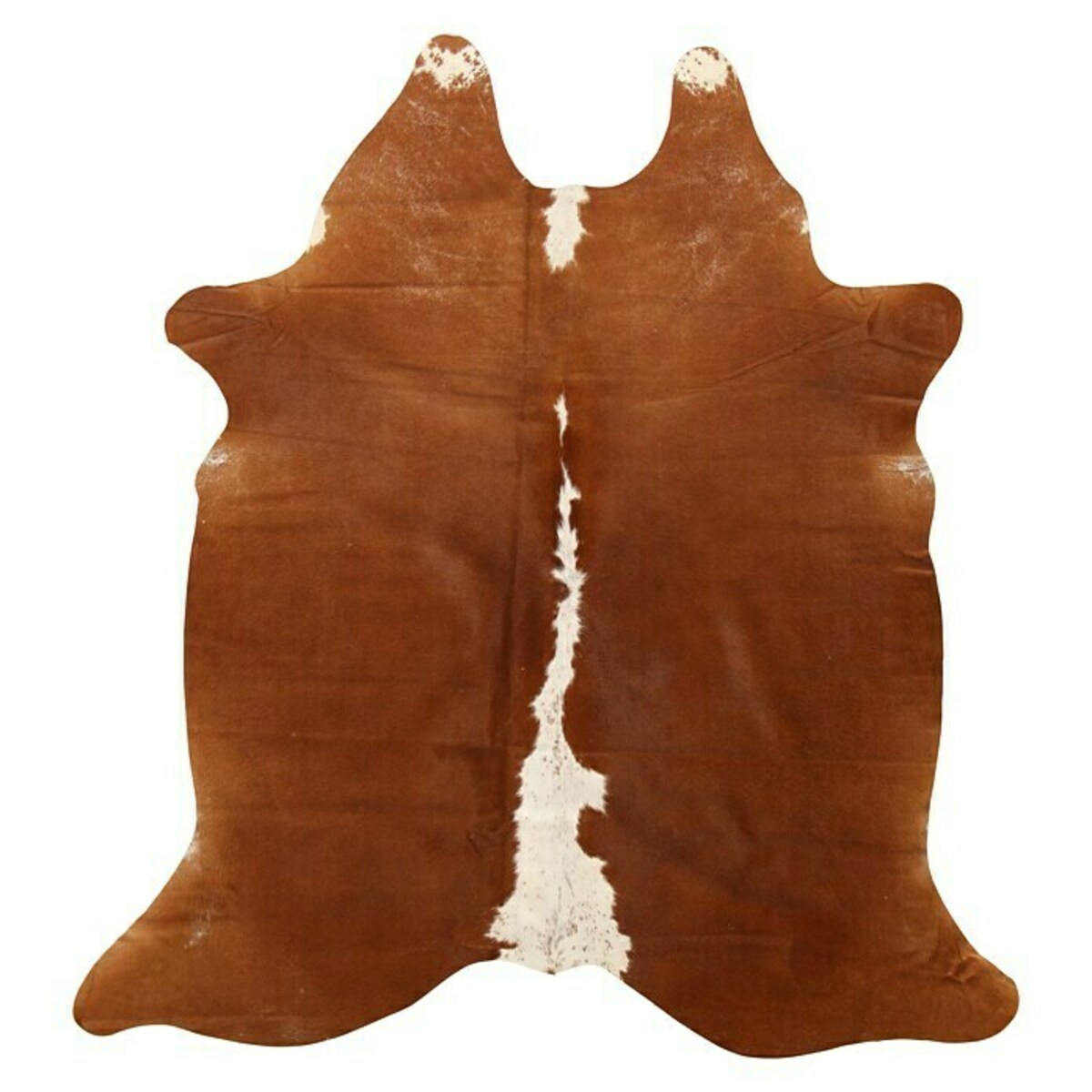 Bild 2 von Echtfell Rind