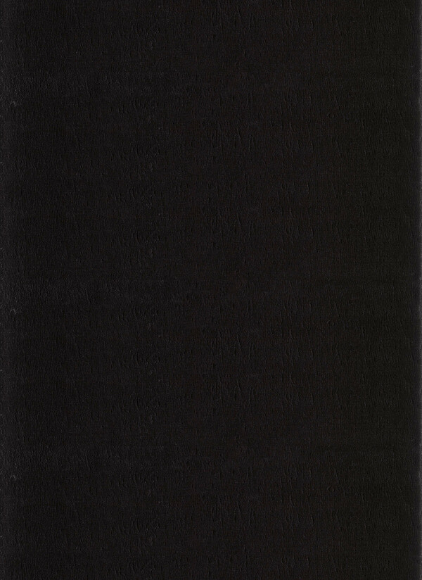 Bild 1 von Ayyildiz Teppich, CATWALK 2600, BLACK, 120 x 160 cm