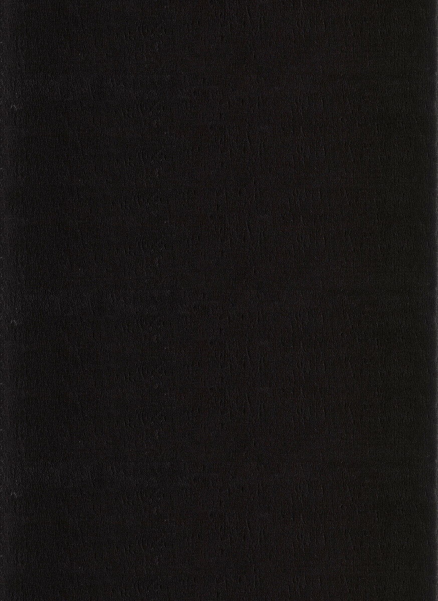 Bild 1 von Ayyildiz Teppich, CATWALK 2600, BLACK, 80 x 150 cm