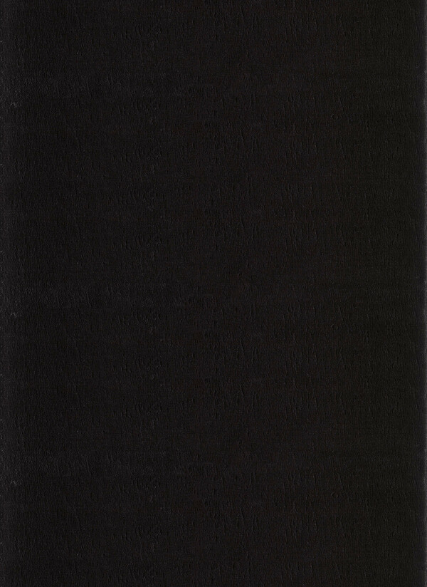 Bild 1 von Ayyildiz Teppich, CATWALK 2600, BLACK, 80 x 150 cm