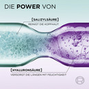 Bild 4 von L’Oréal Paris Elvital Hydra Hyaluronic Pure Shampoo