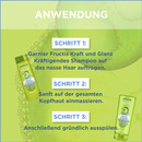 Bild 4 von Garnier Fructis Kraft & Glanz kräftigendes Shampoo