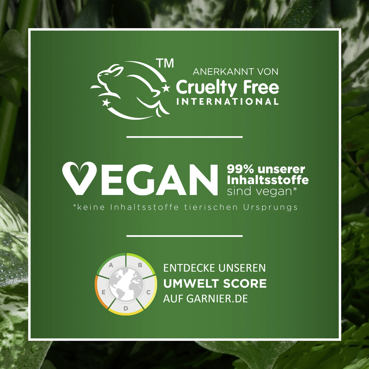 Bild 3 von Garnier Fructis Coco Water klärendes Shampoo