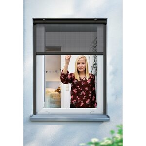 Schellenberg Insektenschutzrollo für Fenster, 100 x 160 cm, anthrazit