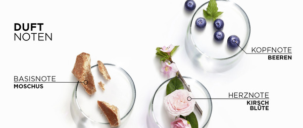 Bild 3 von L’Oréal Paris Elvital Hydra Hyaluronic Pure Spülung