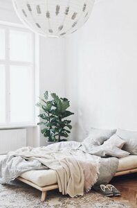 Karup Design Massivholzbett Senza, Beige
