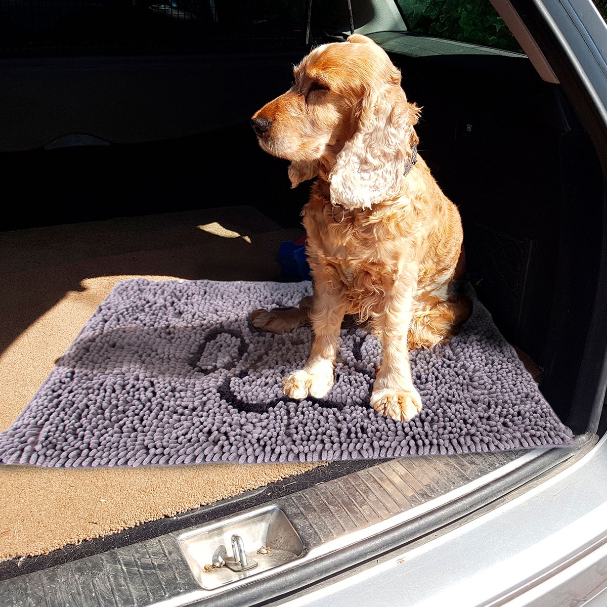 Bild 4 von ROMEO Hunde-Schmutzfangmatte