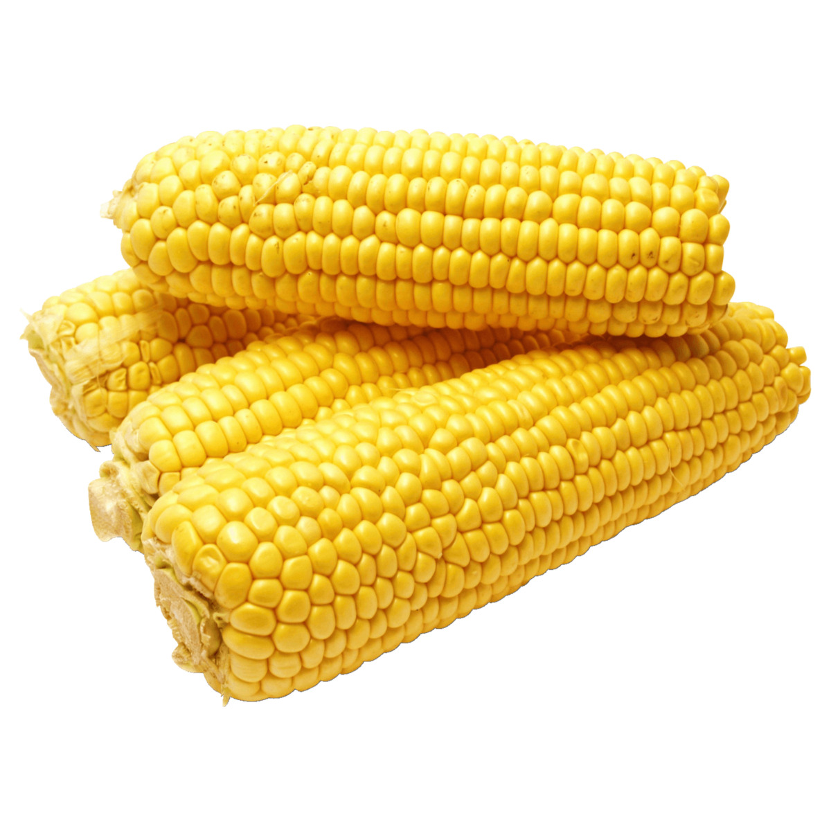 Bild 1 von REWE Bio Zuckermais vakuumiert 400g