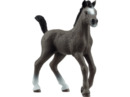 Bild 1 von SCHLEICH 13957 Cheval de Selle Francais Fohlen Spielfigur Grau, Grau