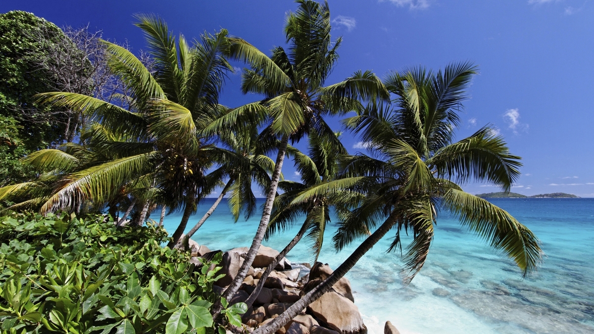 Bild 1 von Seychellen - Segelkreuzfahrt & Baden - Verlängertes Segelerlebnis
