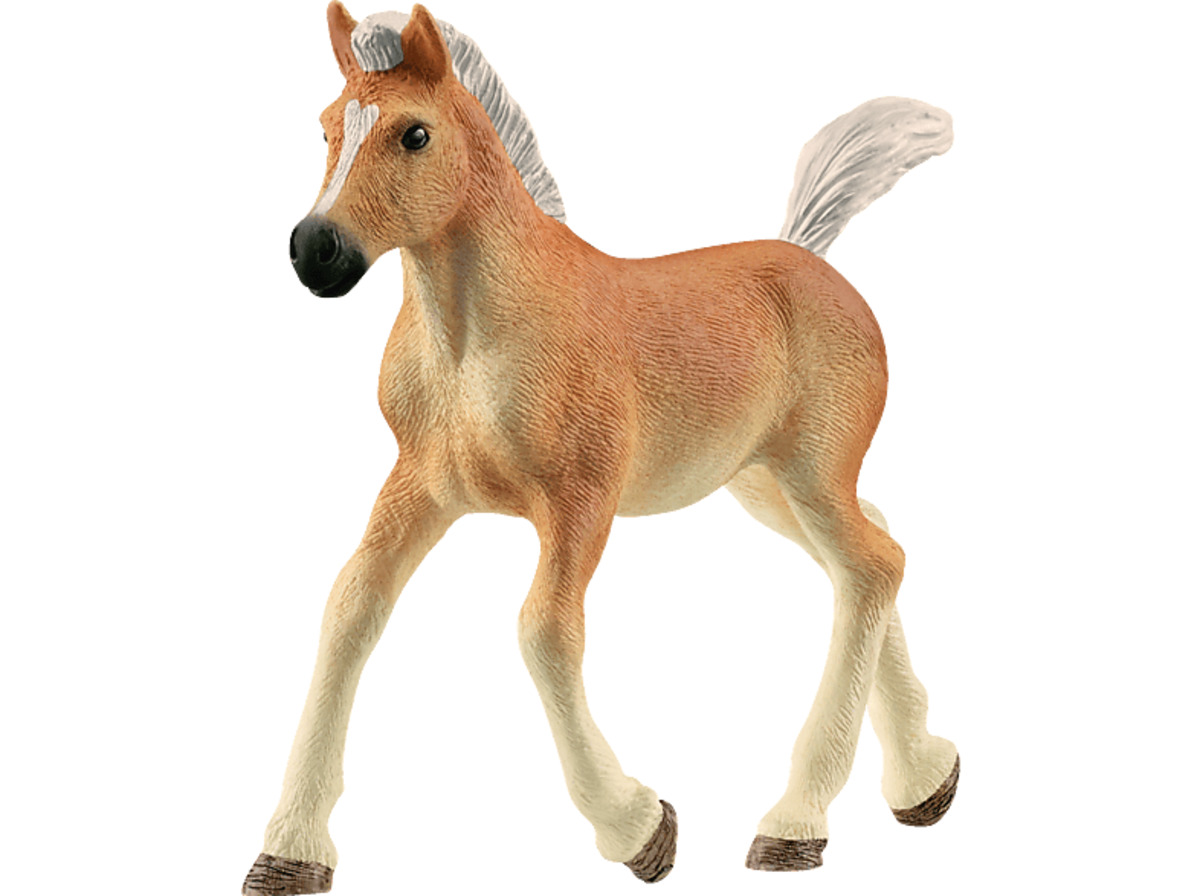 Bild 1 von SCHLEICH 13951 Haflinger Fohlen Spielfigur Braun, Braun