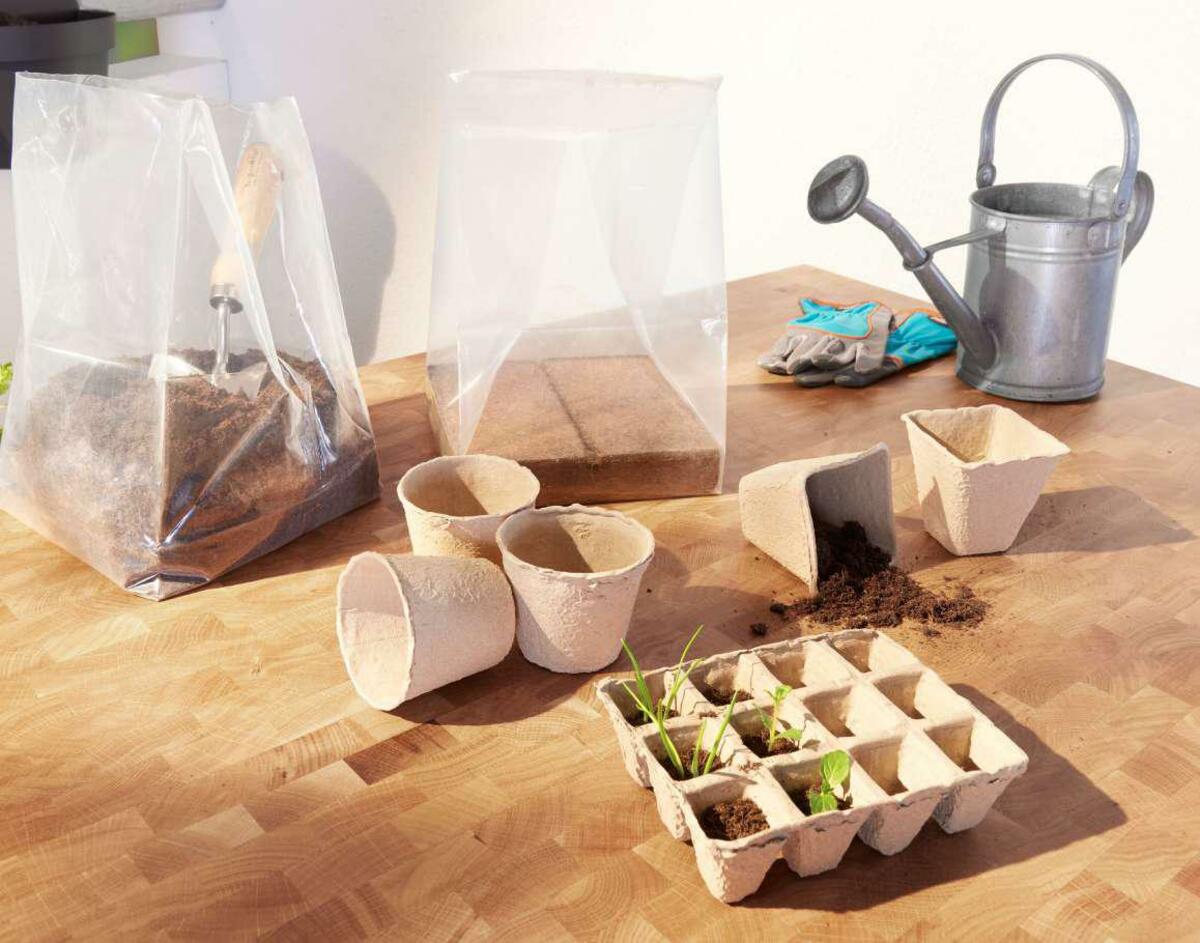 Bild 1 von Kokos Blumenerde