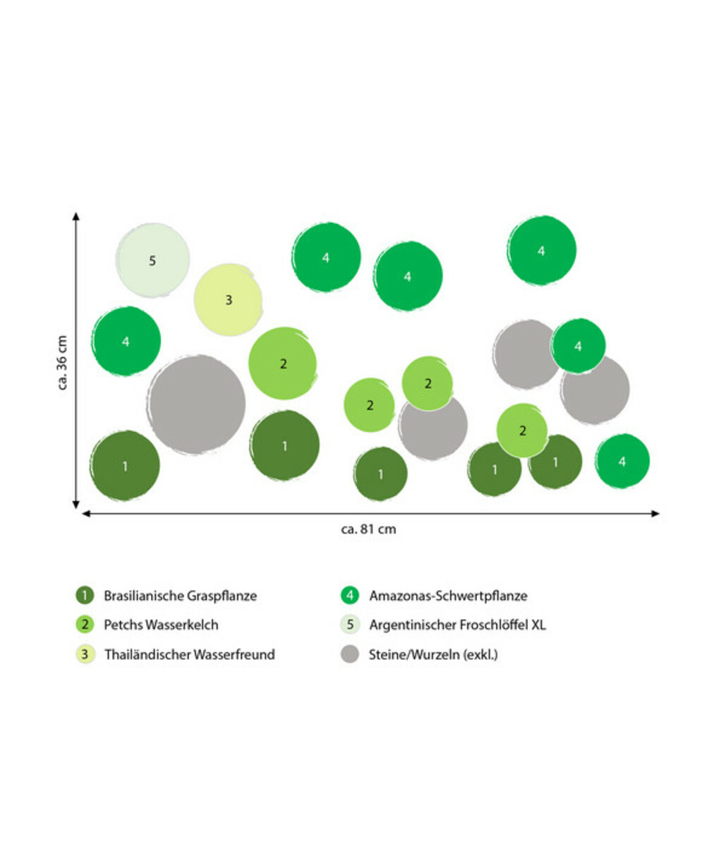 Bild 2 von Dehner Aqua Premium Aquarienpflanzen-Set für JUWEL® AQUARIUM Rio 125 LED, 17-teilig