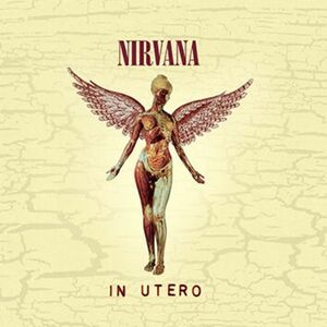 Nirvana In utero (20th Anniversary Edition) CD multicolor