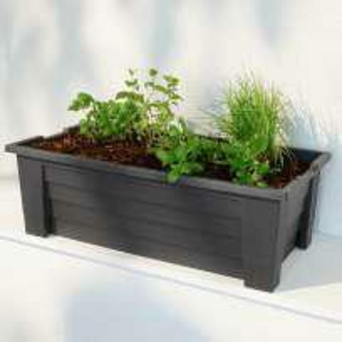 Bild 3 von Hochbeet mit Haube