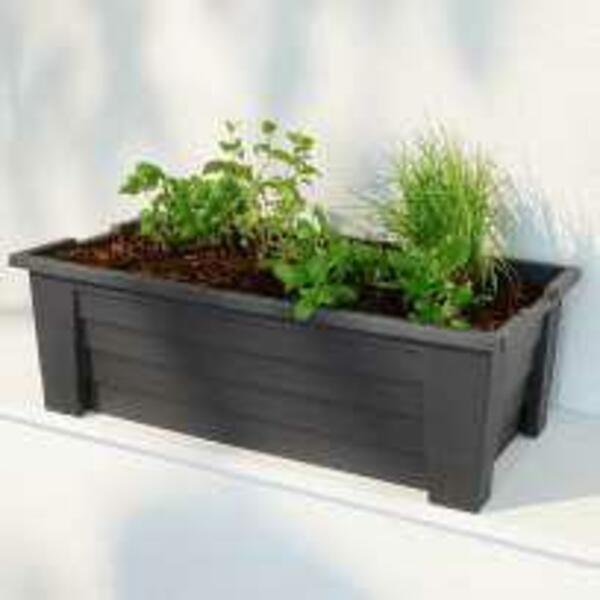 Bild 3 von Hochbeet mit Haube