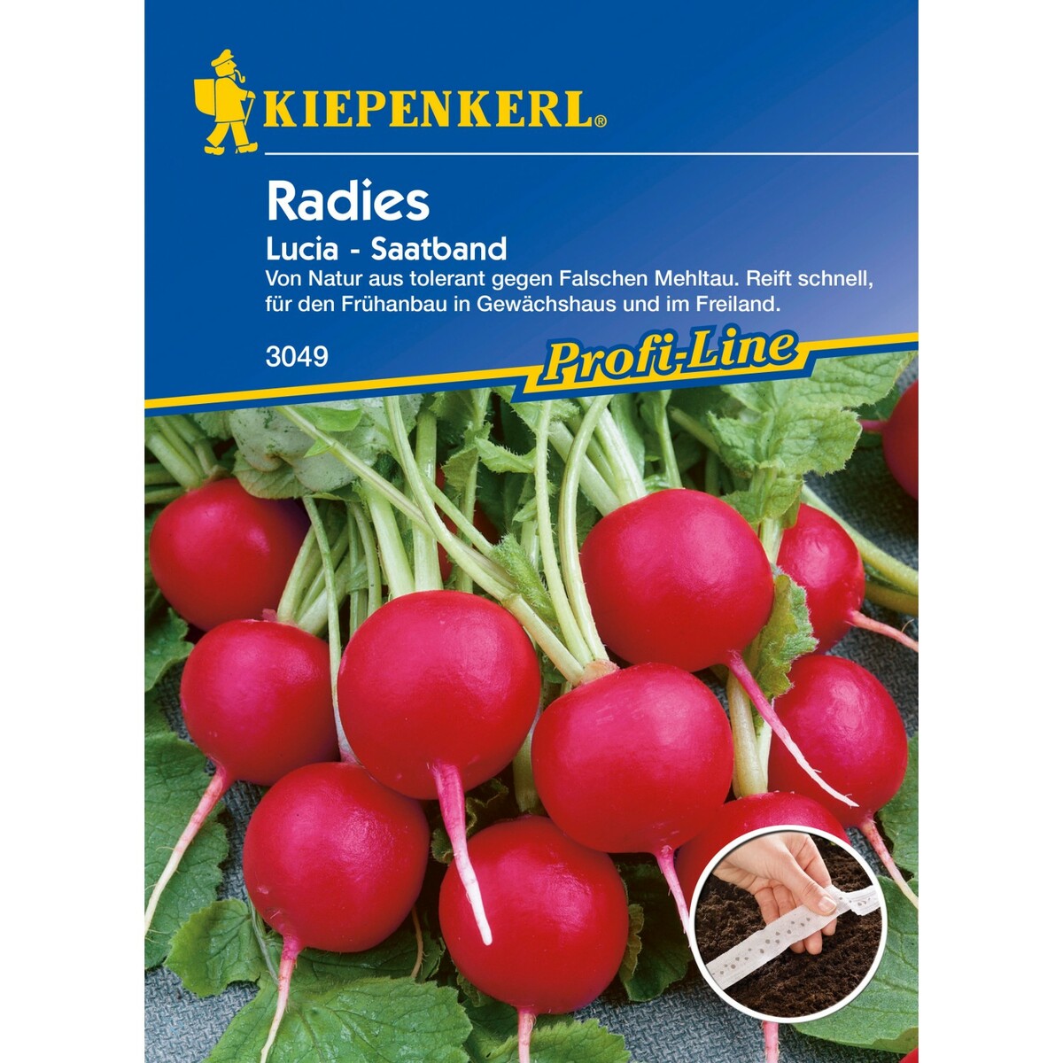 Bild 1 von Radieschen Lucia