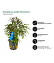Bild 4 von Dehner Aqua Premium Aquarienpflanzen-Set für JUWEL® AQUARIUM Rio 180 LED, 37-teilig