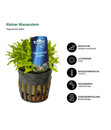 Bild 3 von Dehner Aqua Premium Aquarienpflanzen-Set für JUWEL® AQUARIUM Rio 180 LED, 37-teilig