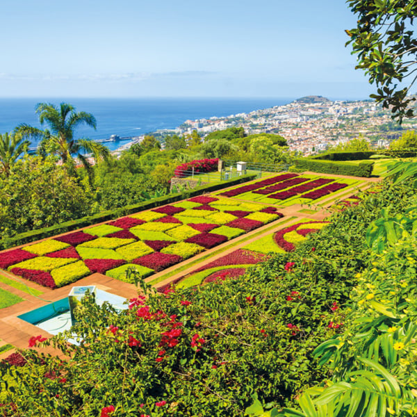 Bild 1 von Blütenzauber auf Madeira