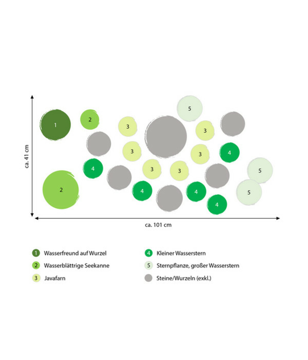 Bild 2 von Dehner Aqua Premium Aquarienpflanzen-Set für JUWEL® AQUARIUM Rio 180 LED, 37-teilig