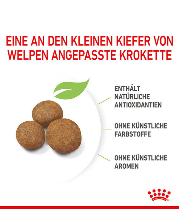 Bild 4 von ROYAL CANIN® Trockenfutter für Hunde Maxi Puppy