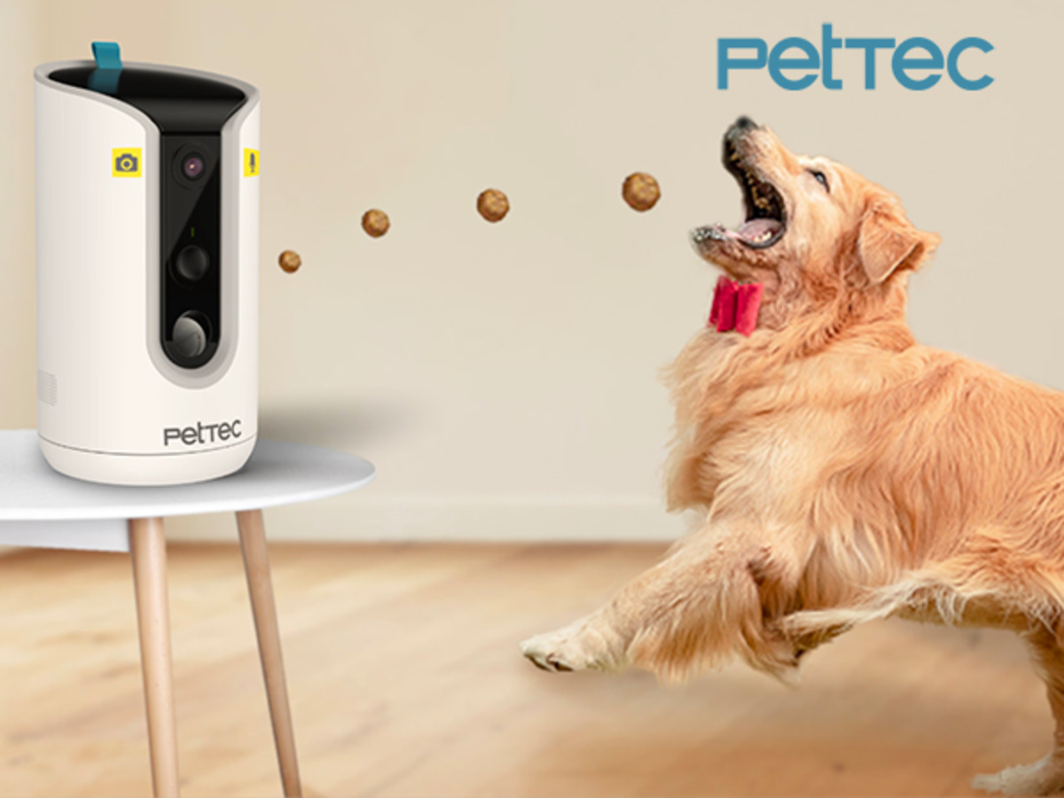 Bild 1 von PetTec Pet Cam Hello - Weiß
