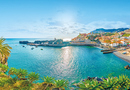 Bild 3 von Blütenzauber auf Madeira  8-tägige Flugreise nach Madeira