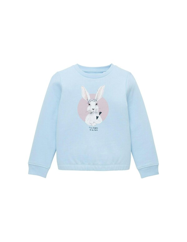Bild 1 von TOM TAILOR - Mini Girls Sweatshirt mit Artwork
