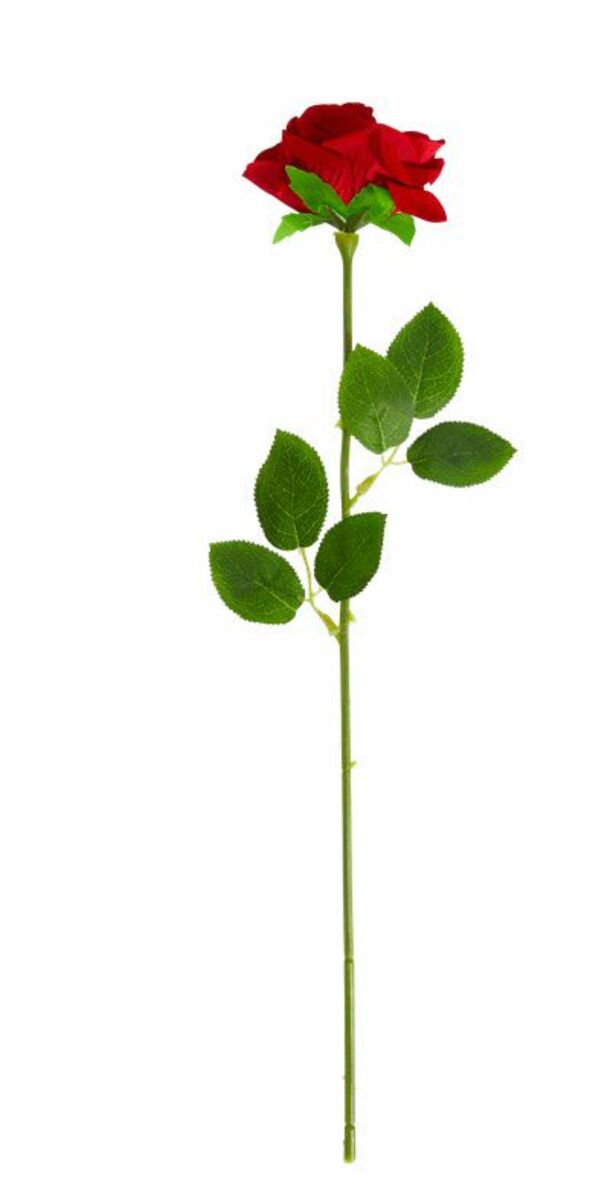 Bild 1 von Kunstblume