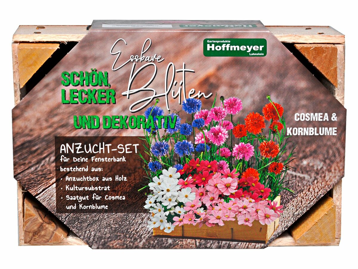 Bild 1 von Anzucht-Set 'Essbare Blüten'