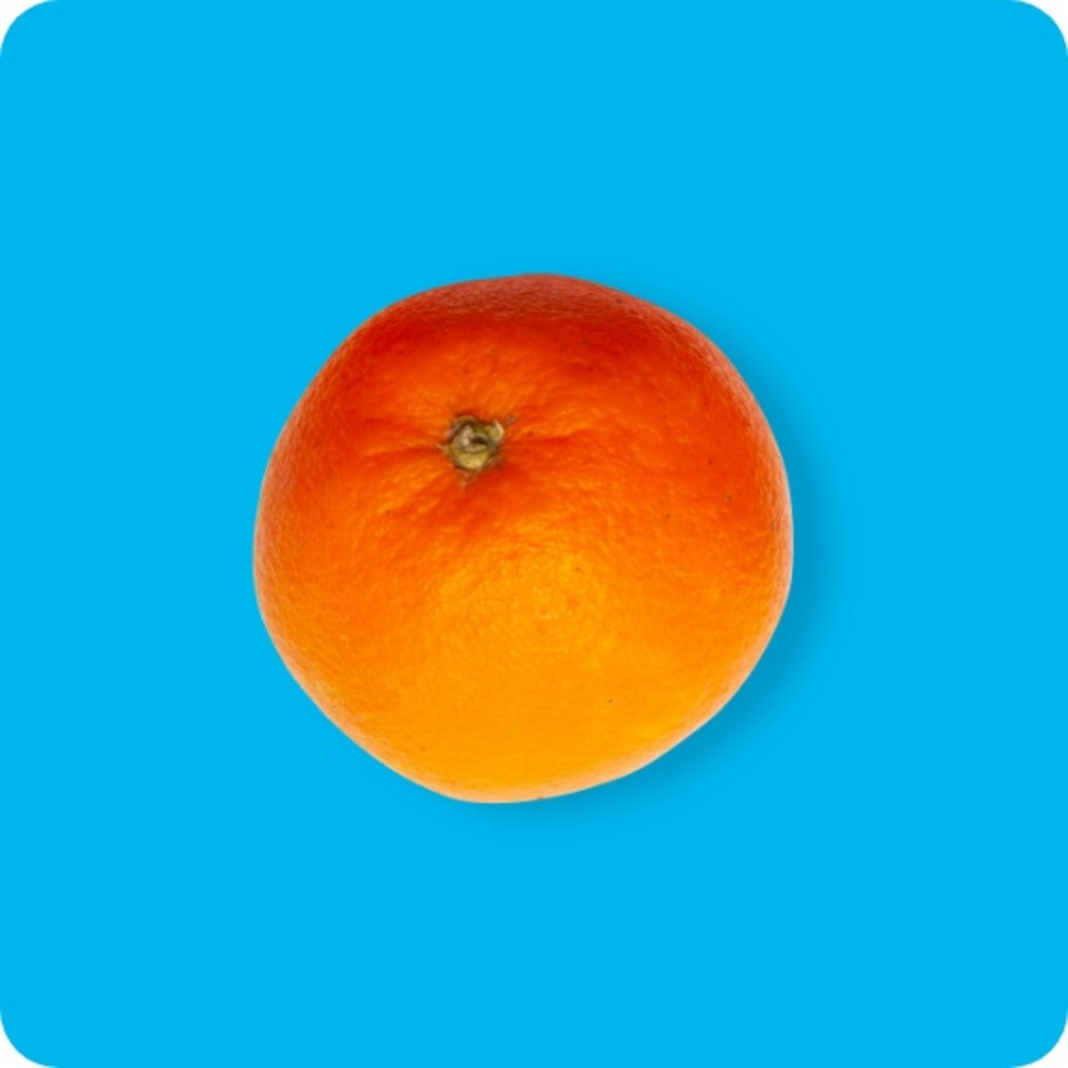 Bild 1 von Orangen