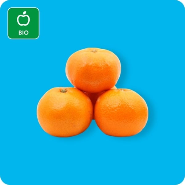 Bild 1 von Bio-Mandarinen