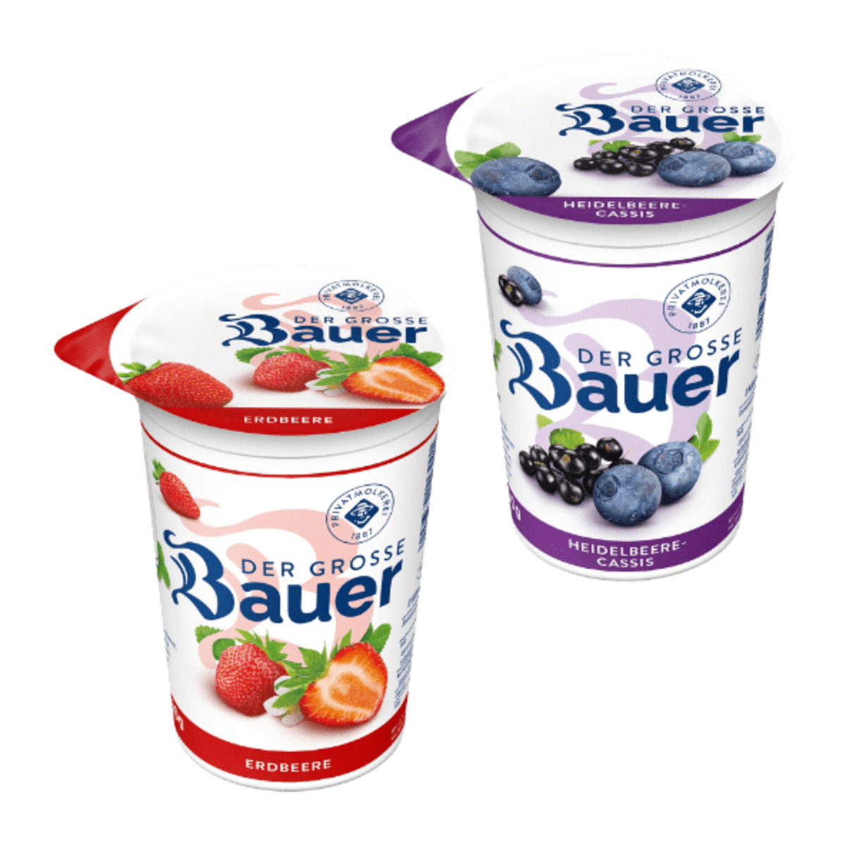 Bild 1 von BAUER Der Große Bauer