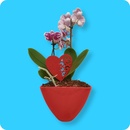 Bild 1 von Valentinstags-Blumen