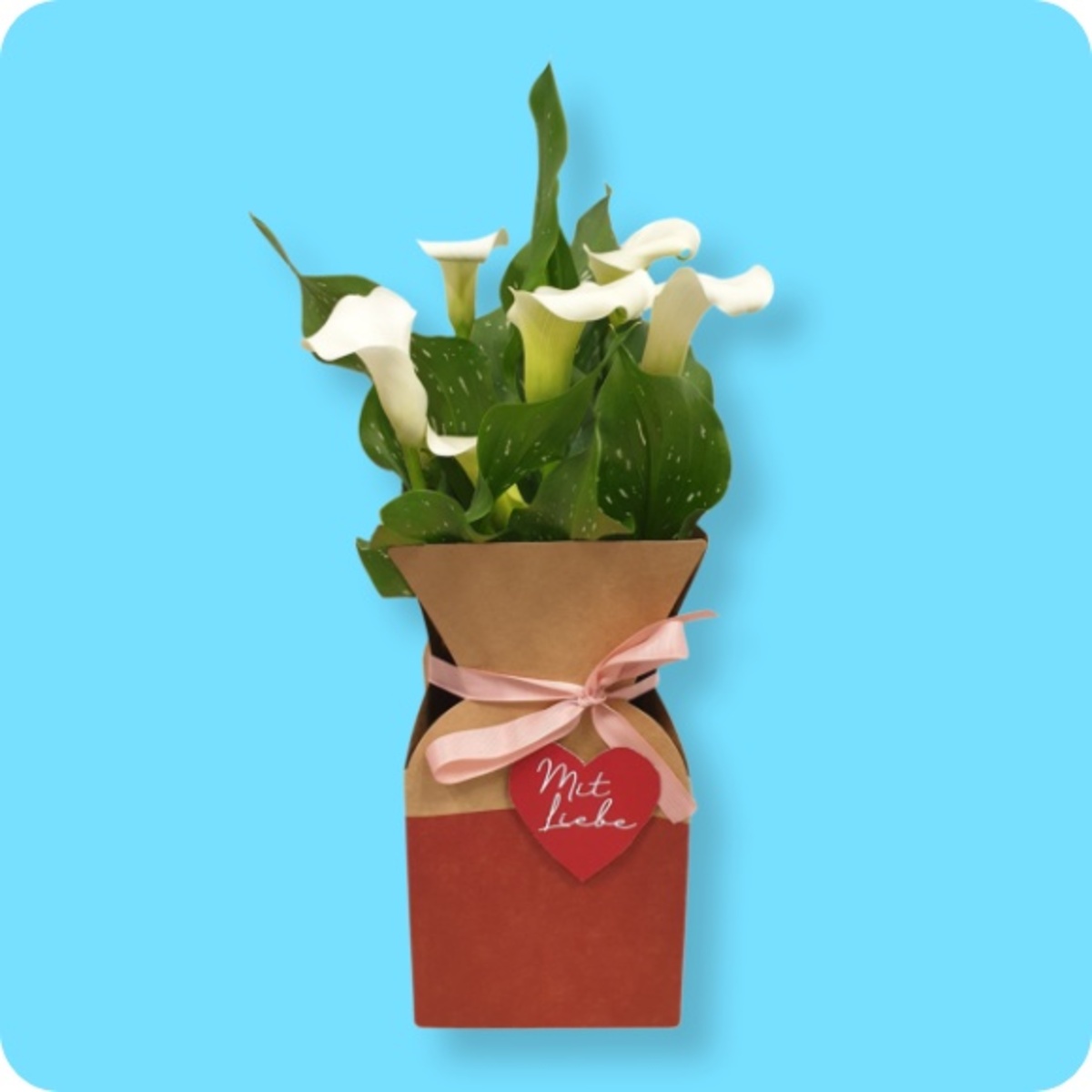 Bild 1 von Valentinstags-Blumen