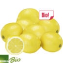 Bild 1 von Bio Zitronen