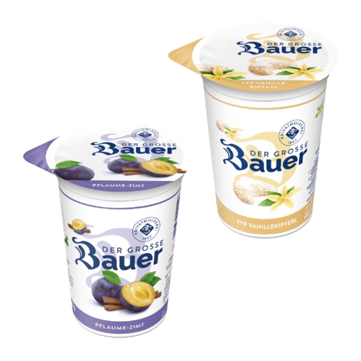 Bild 1 von BAUER Der Große Bauer